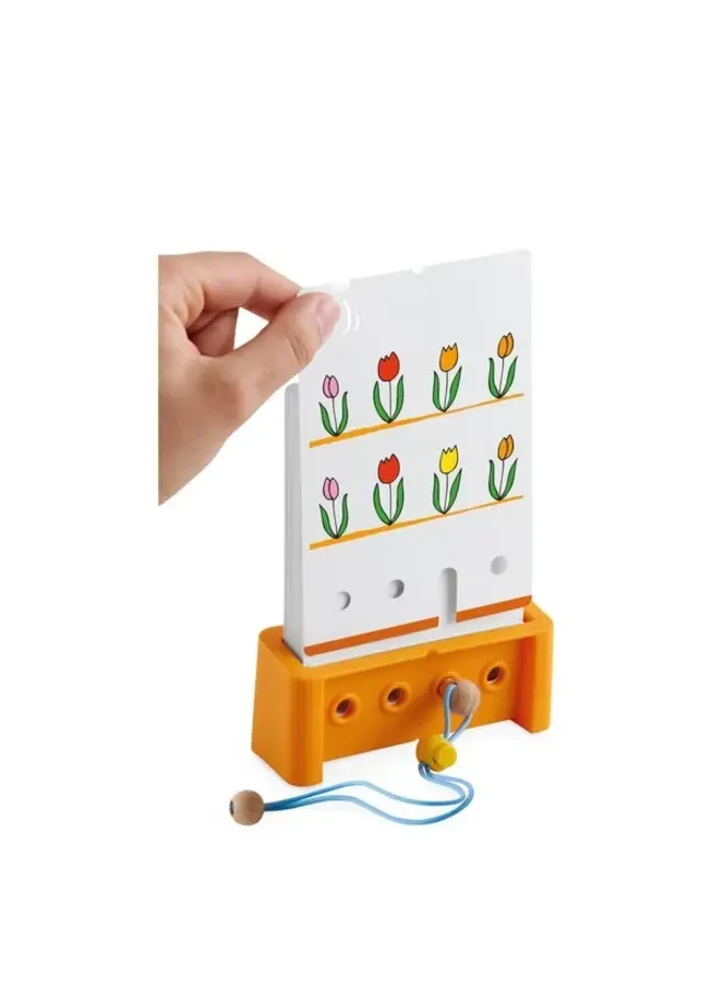 Haba - Logic! CASE Startersset 4+ (V2)