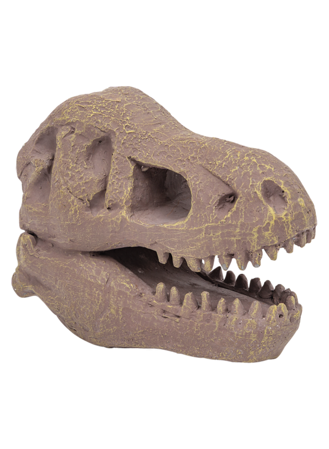 Moses - 40273 - Dino t-rex uitgraafset