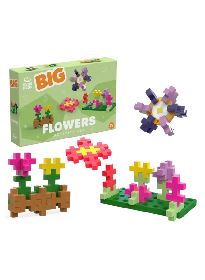 BIG activity set - Flowers