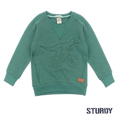 Sturdy Sweater Dino - Concrete Jungle Sturdy Sweater Dino - Concrete Jungle