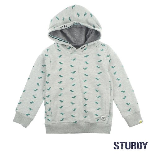 Sturdy Hoody - Concrete Jungle Sturdy Hoody - Concrete Jungle