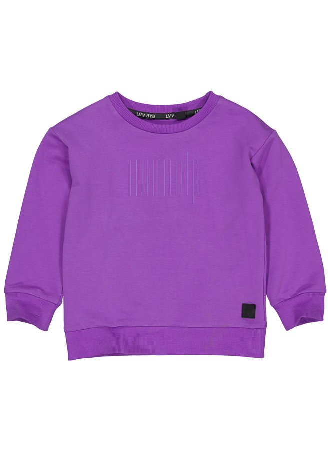 Boy - Vincent - Sweater - Purple Bright