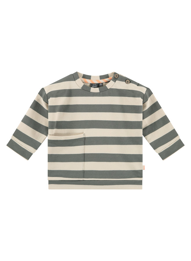 Babyface - Baby Boys - Sweatshirt - Thyme Stripe