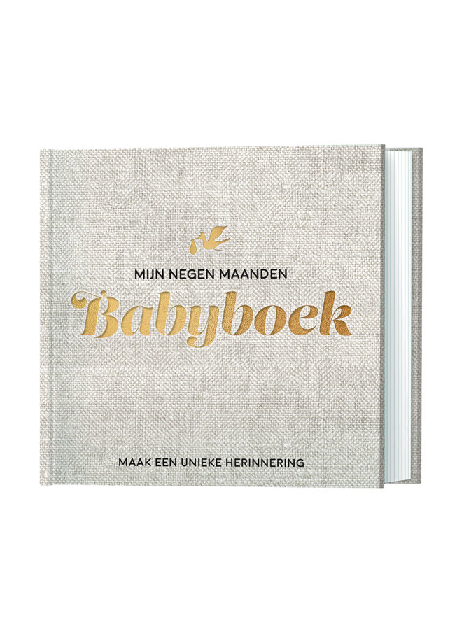 Lantaarn - Mijn negen maanden babyboek