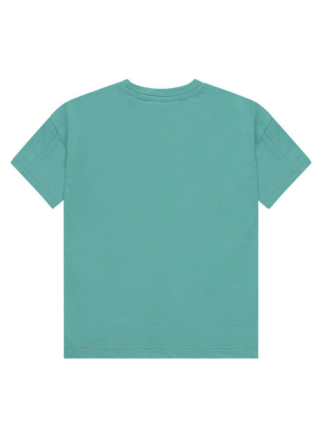 Stains & Stories - Boys t-shirt short sleeve – turquoise