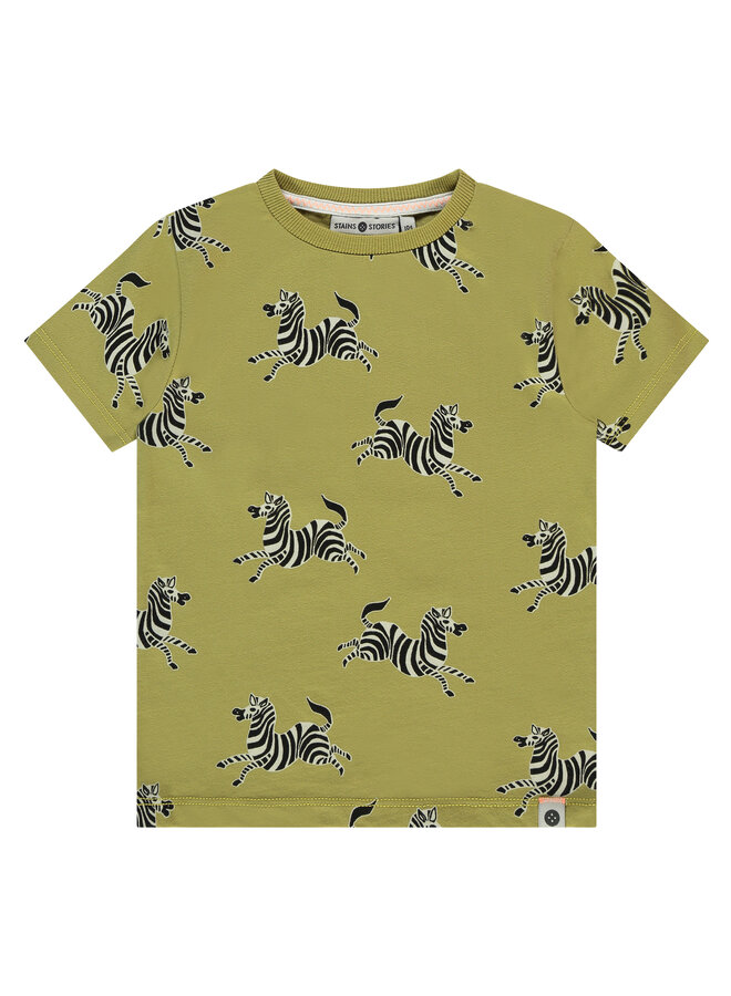 Stains & Stories - Boys t-shirt short sleeve – kiwi aop