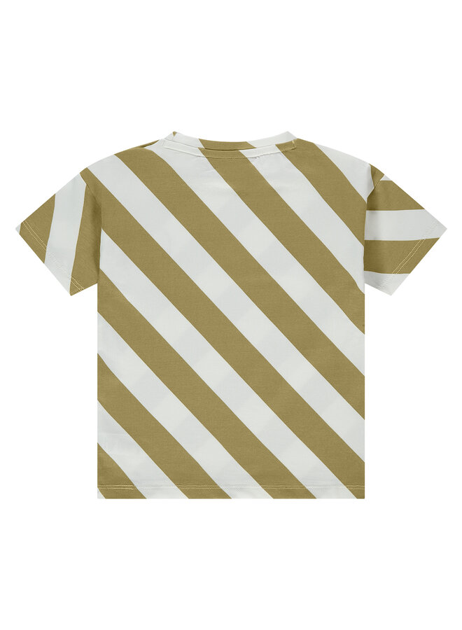 Stains & Stories - Boys t-shirt short sleeve – kiwi stripe