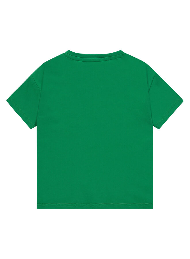 Stains & Stories - Boys t-shirt short sleeve – green