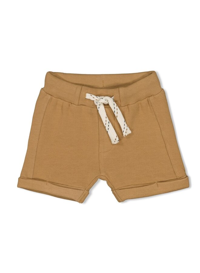 Short – Chameleon – camel