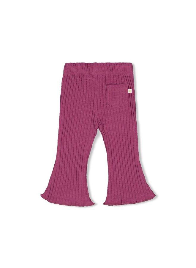 Feetje - Flare broek rib - Sunny Love – violet