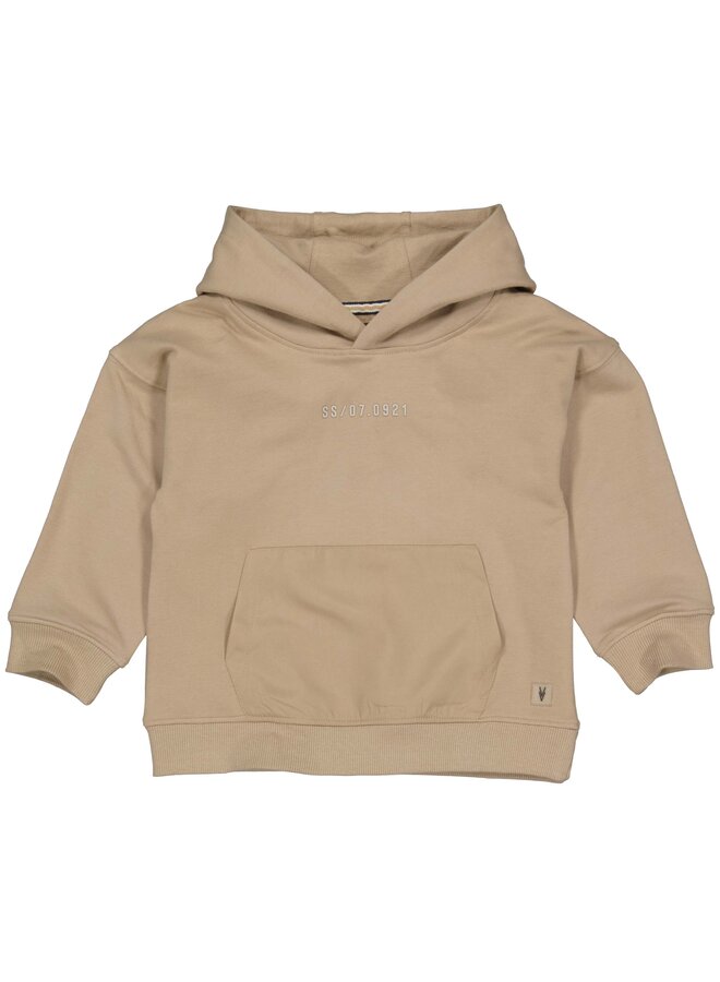 Levv - Mick – Boys Hooded Sweater – Taupe