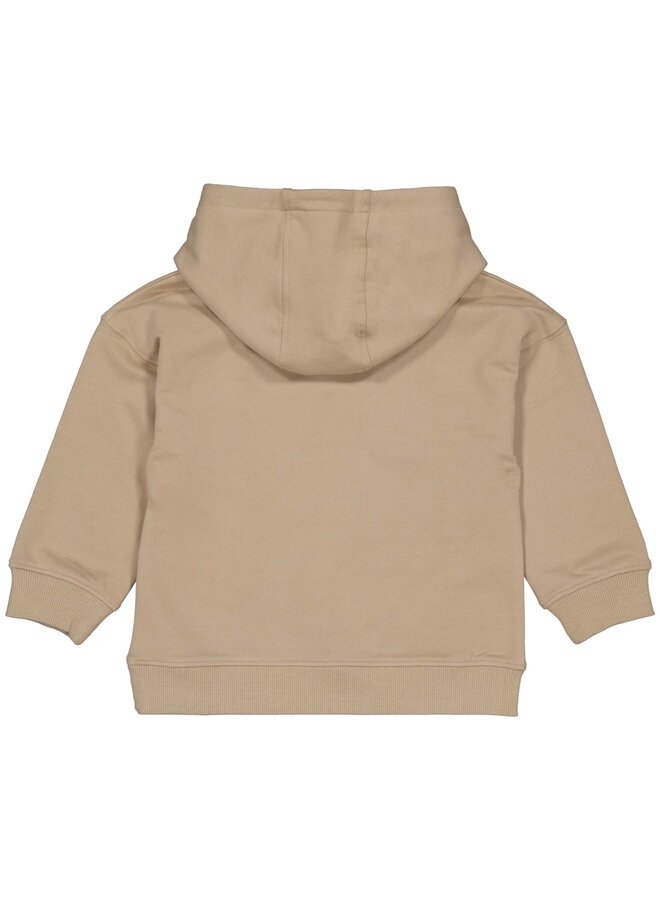 Levv - Mick – Boys Hooded Sweater – Taupe