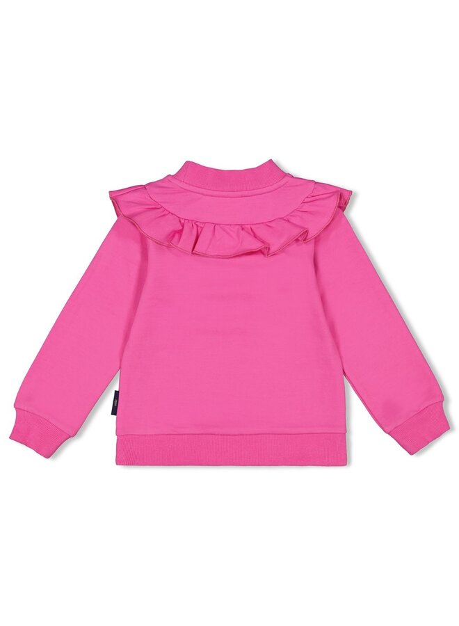 Jubel - Sweater ruches - Dream About Summer – roze
