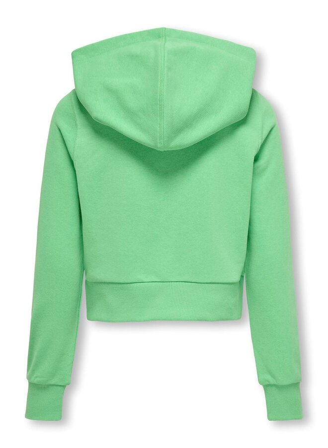 Kids Only - Bella – Zip hood short -  Spring Bouquet