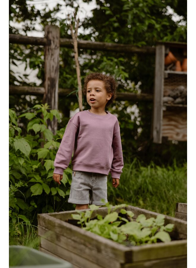 Daily7 - Organic Sweater Oversized DLY7 – Old Purple