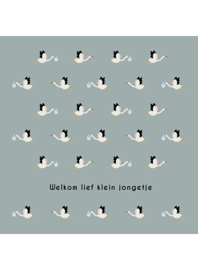 LH040 - Welkom lief klein jongetje