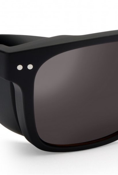 zenith polarized black cat 3