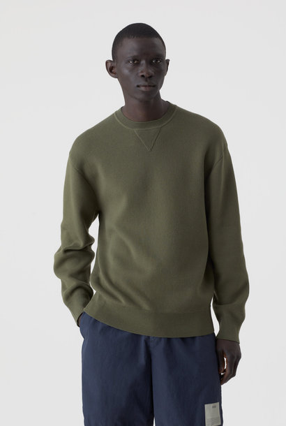 american sweater chard green