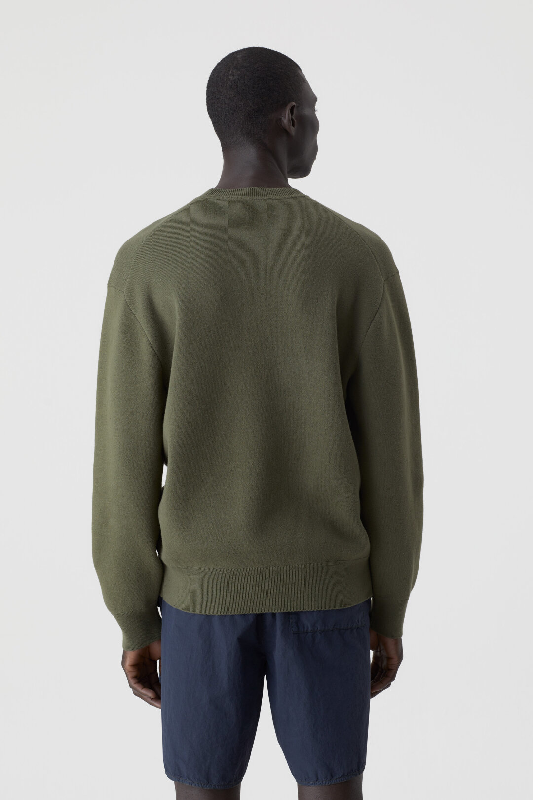 american sweater chard green-2