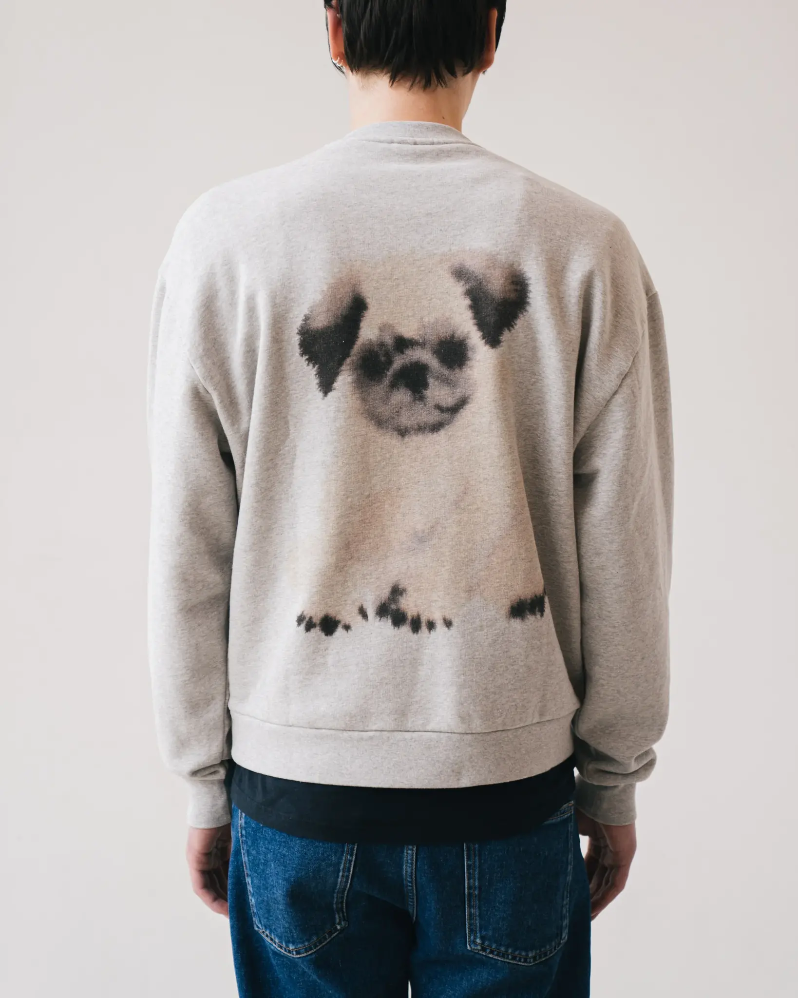 pug/pug sweater-8