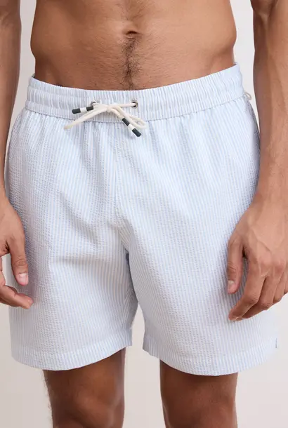 swim short seersucker stripe blue