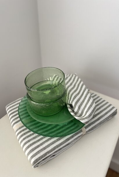 coloured lunch plate