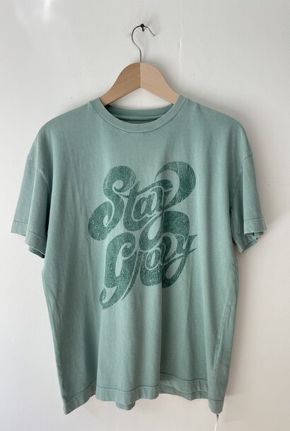 t-shirt stay groovy green
