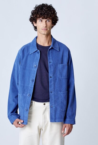 baptista corduroy indigo