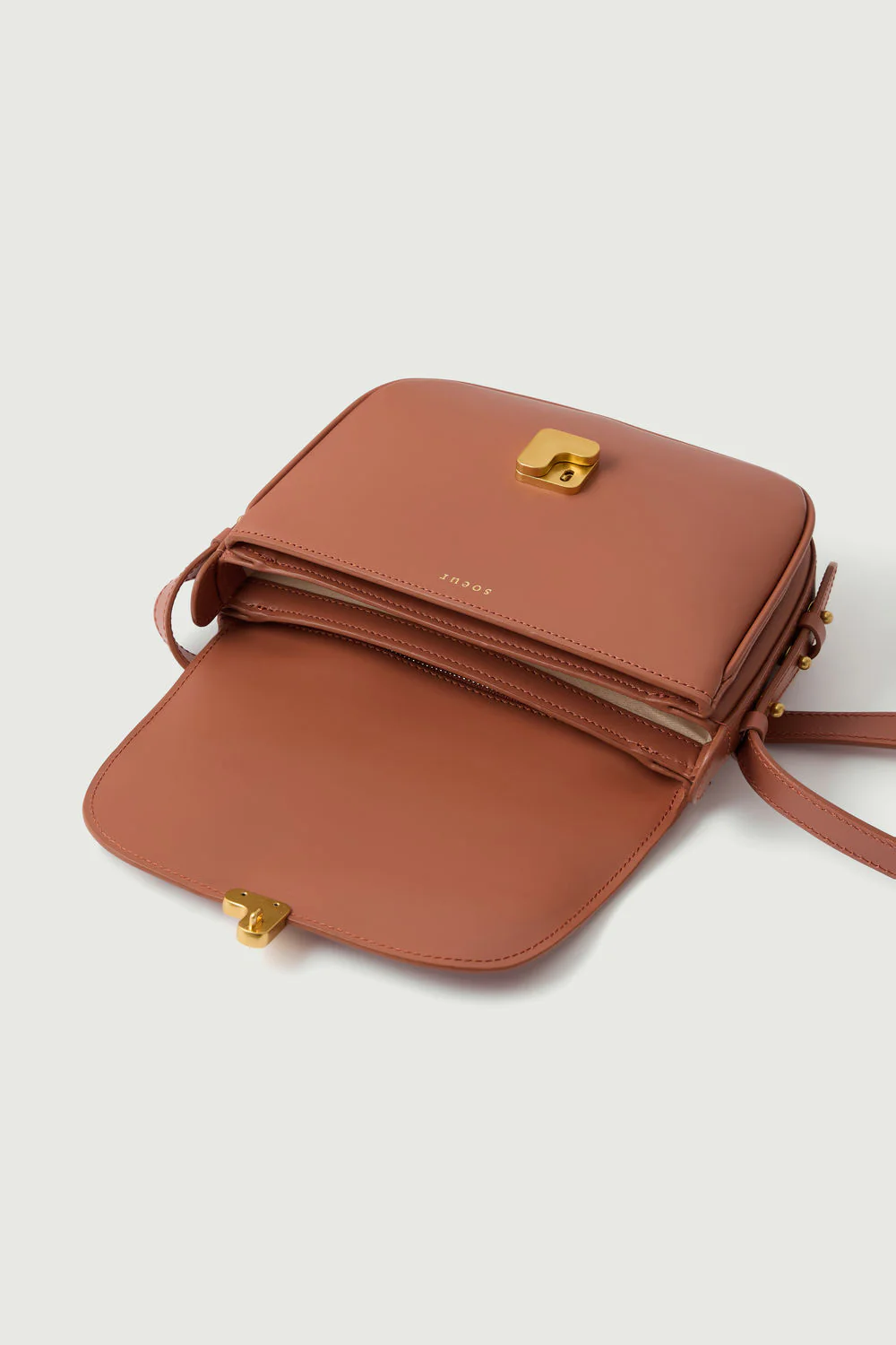 bellissima mini rose blush-4