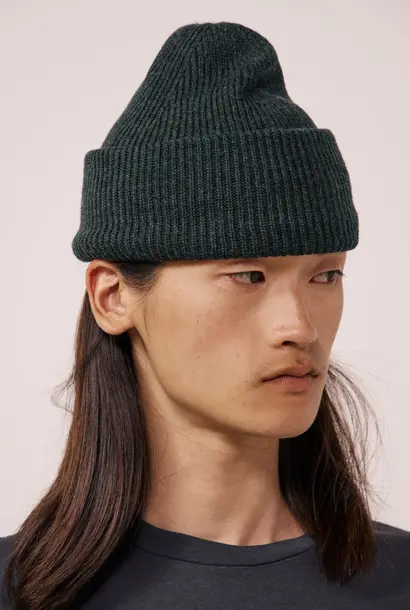 beanie forest