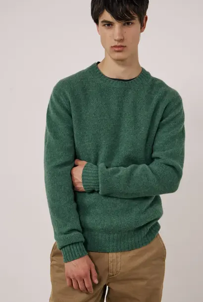 shetland crew neck ivy