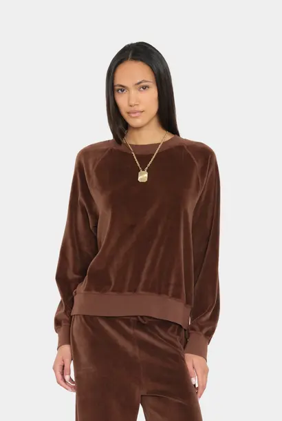 pierre mocha brown
