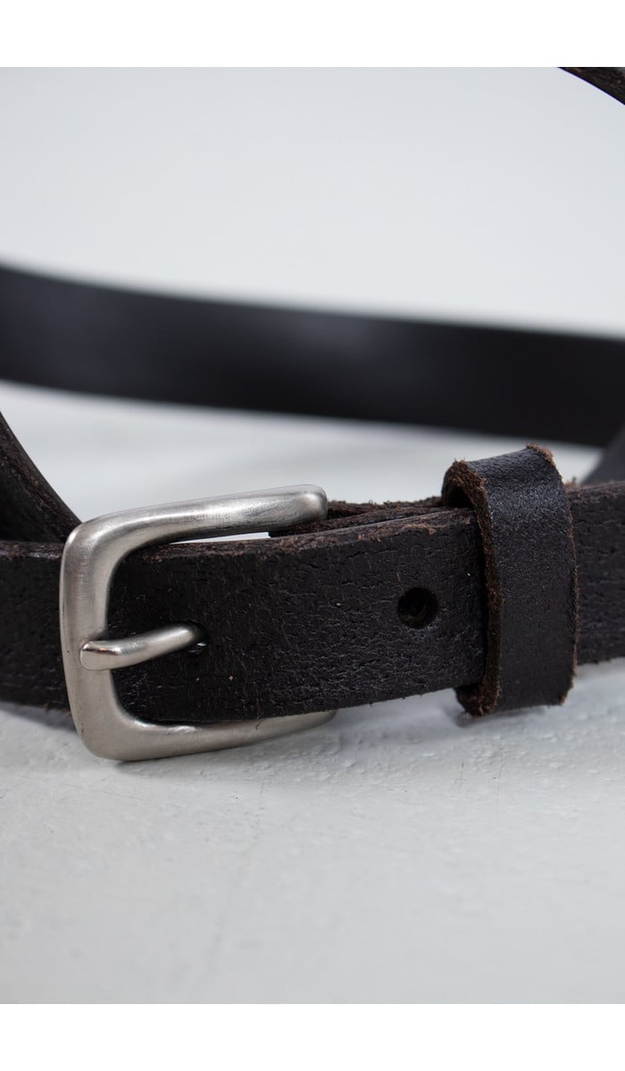 Anglo Riem / Klassieke buckle / Bruin