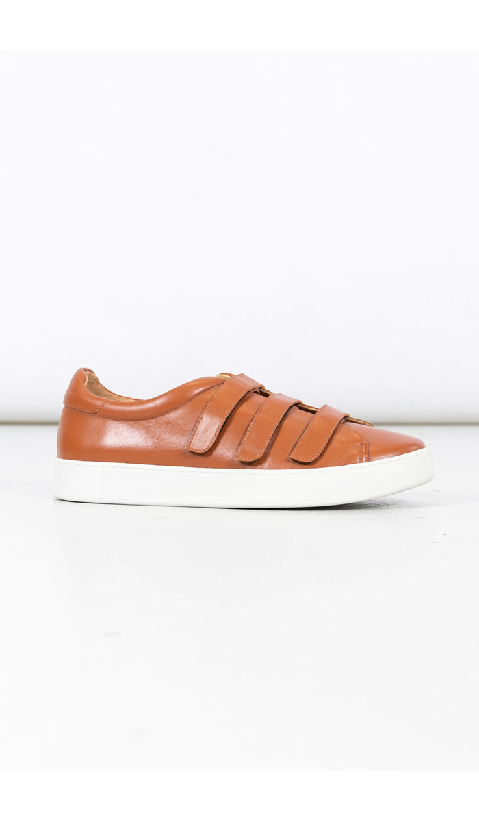 Commoncut Shoe / Niro / Cognac