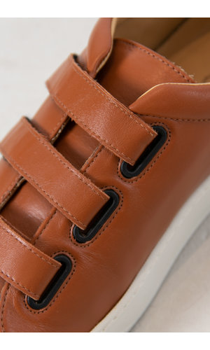 Commoncut Shoe / Niro / Cognac