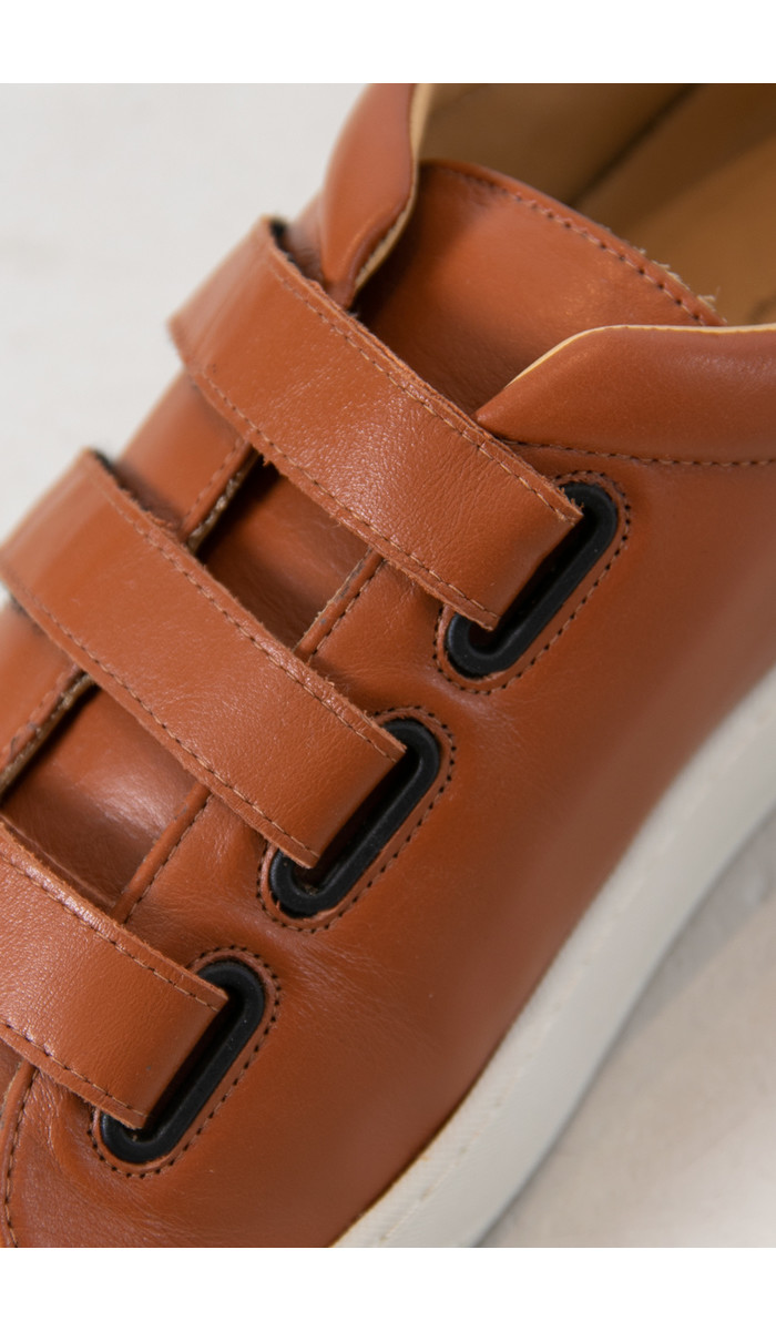 Commoncut Schoen / Niro / Cognac