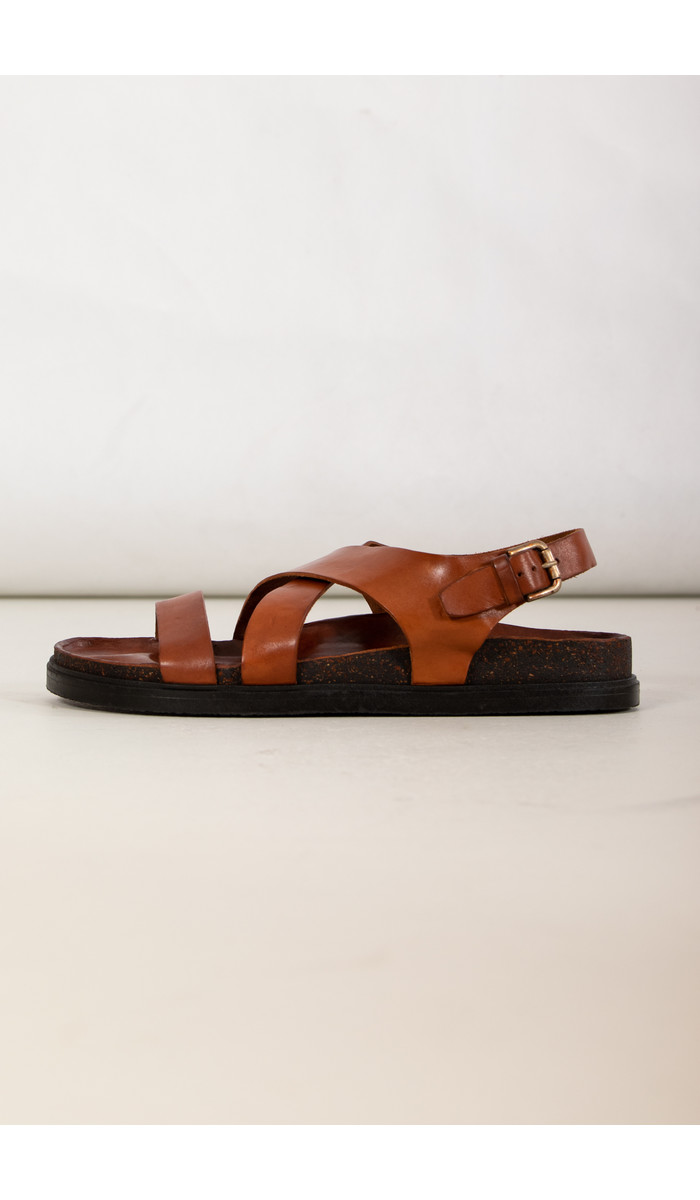 Brador Brador Sandal / 70518 / Cognac