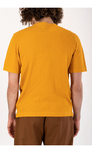 Mc Lauren T-Shirt / Bert / Yellow