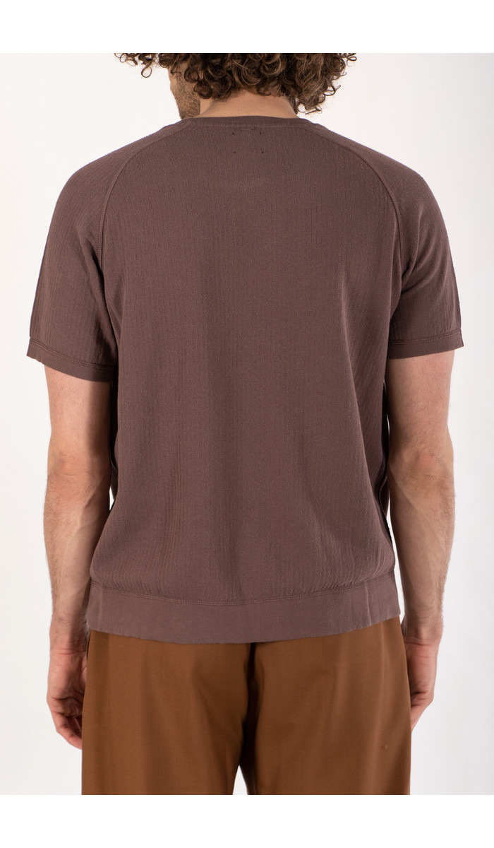 Mc Lauren T-Shirt / Murdok / Aubergine