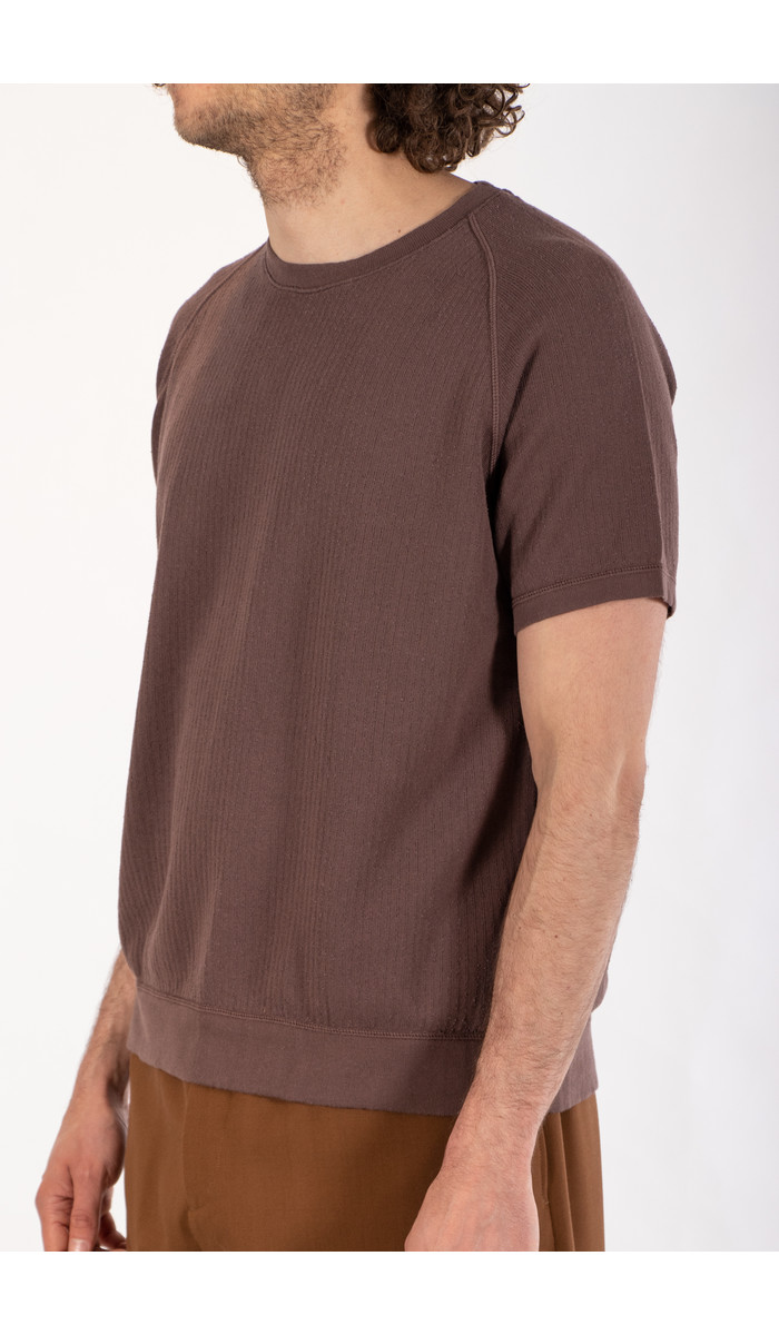 Mc Lauren T-Shirt / Murdok / Aubergine