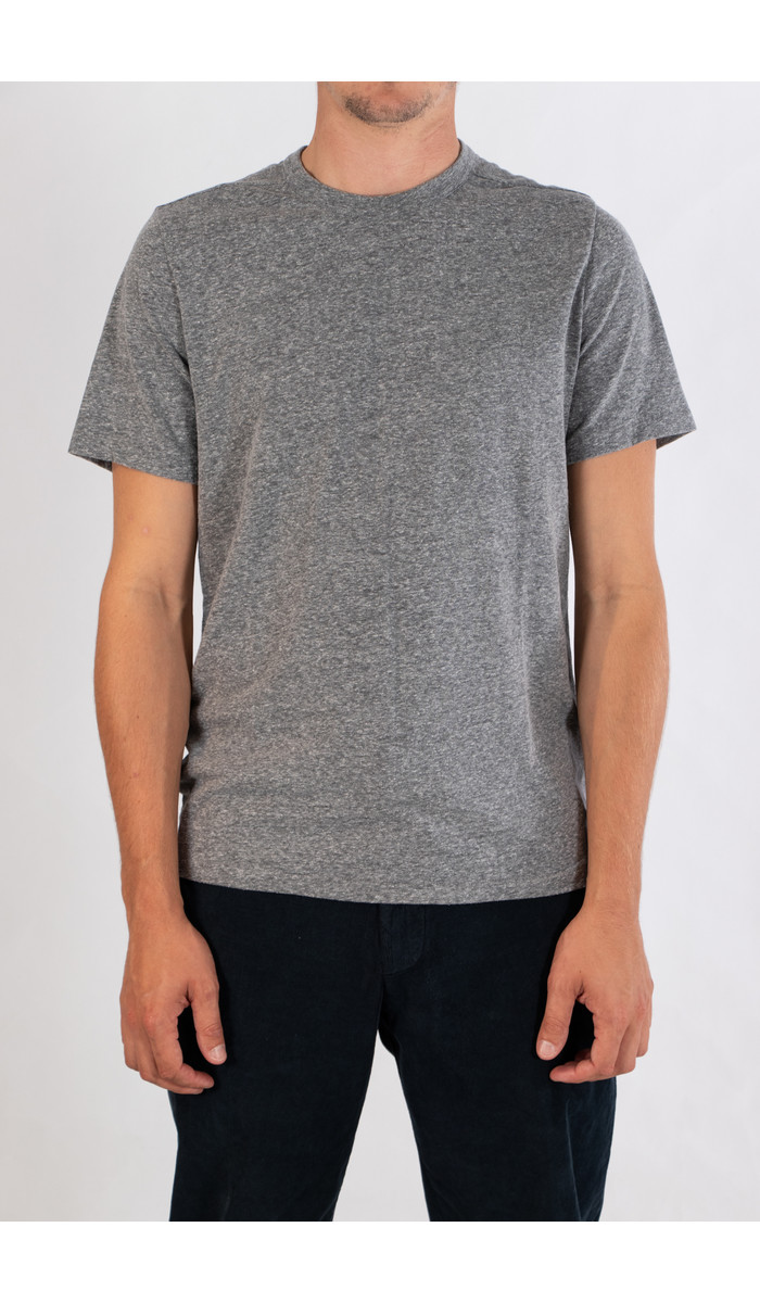 Homecore Homecore T-Shirt / Rodger Polar / Grey