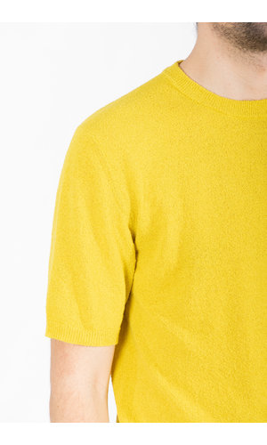 Roberto Collina Roberto Collina T-Shirt / RL44021 / Yellow