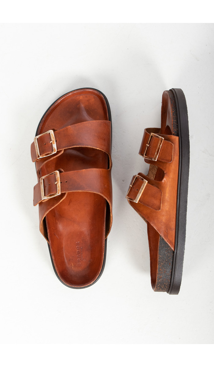 Brador Brador Sandal / 70746 / Cognac