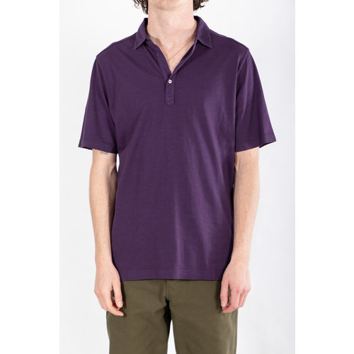 7d 7d Polo / Thirty-Three / Violet 7d 7d Polo / Thirty-Three / Violet