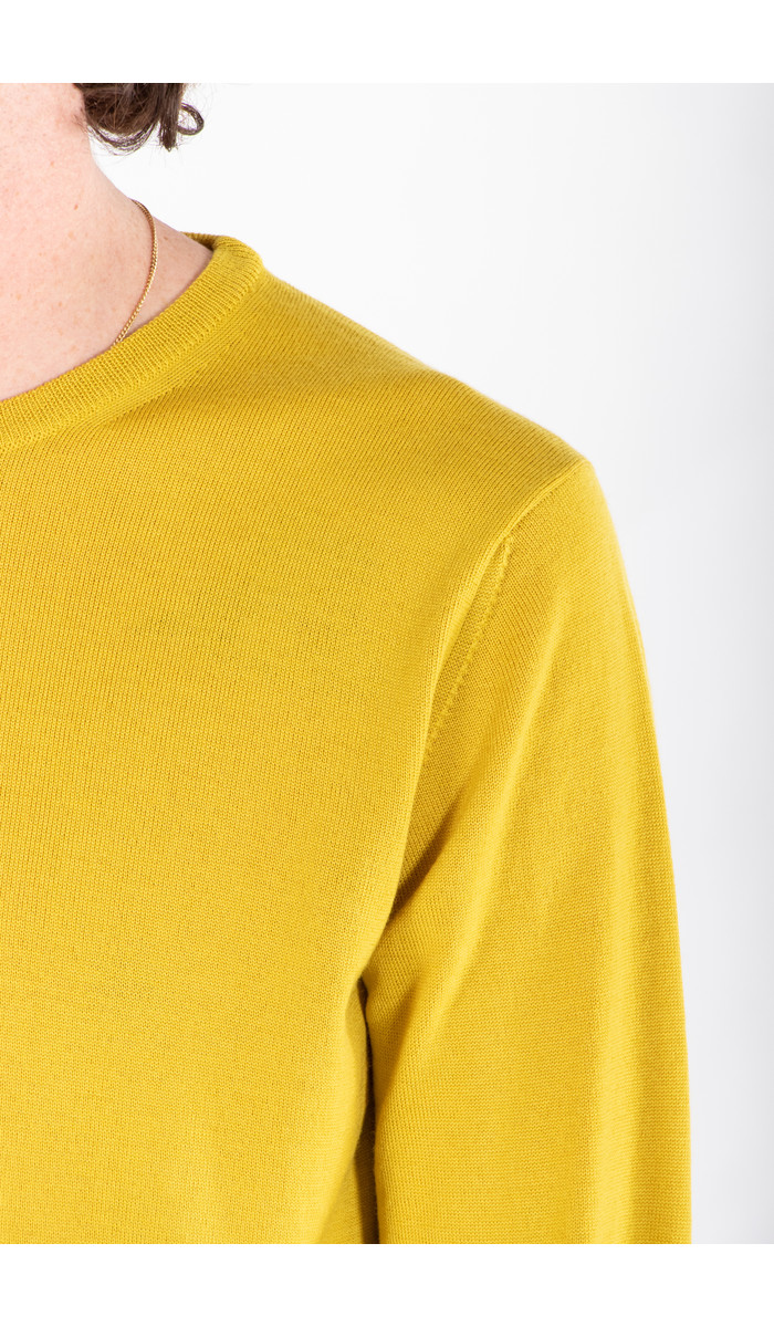 Roberto Collina Roberto Collina Sweater / RM01001 / Mustard