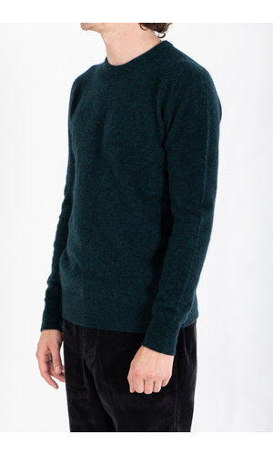 Roberto Collina Roberto Collina Sweater / RM14001 / Bottle Green
