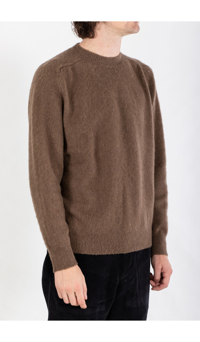 Grifoni Grifoni Sweater / GN110016.63 / Almond Paste