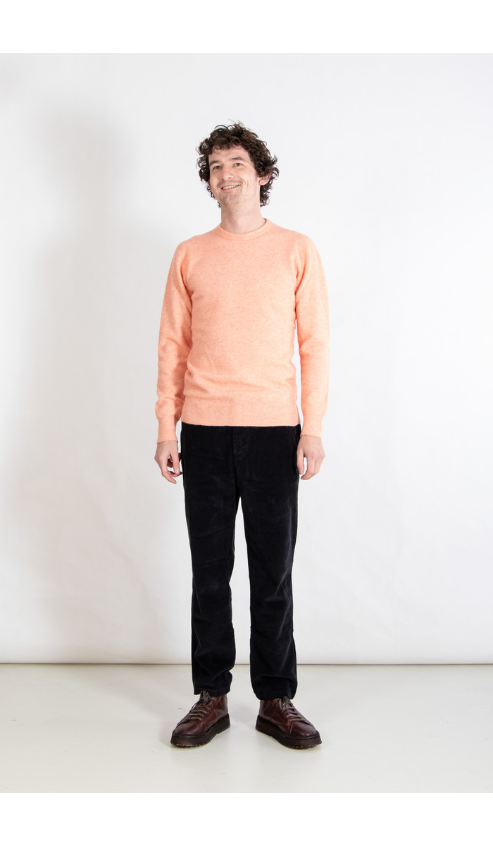 Roberto Collina Roberto Collina Sweater / RM14001 / Tangerine