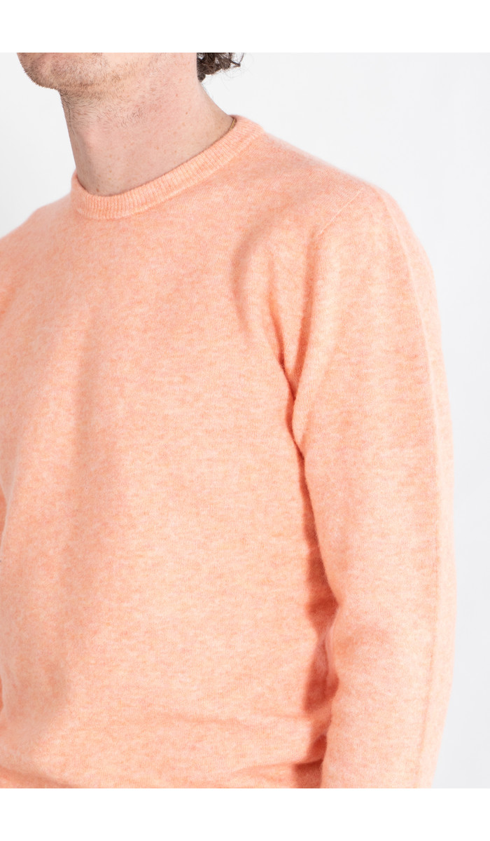 Roberto Collina Roberto Collina Sweater / RM14001 / Tangerine