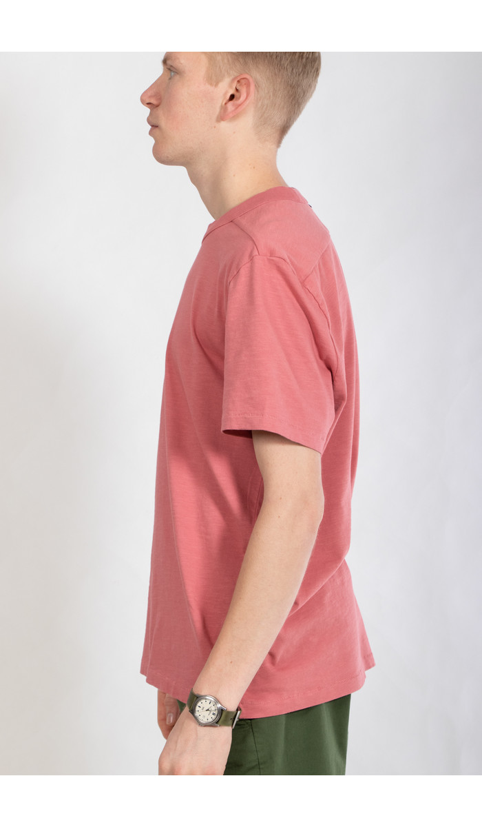 Homecore Homecore T-Shirt / Rodger Bio / Canyon Rose